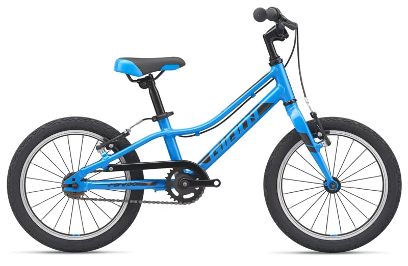 kids bike blue