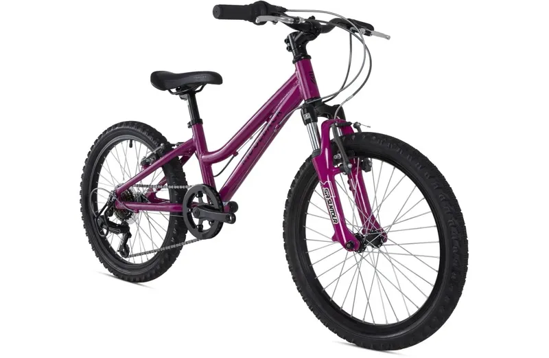 Ridgeback Harmony 20 Inch 2025 Kids Bike - Purple-1
