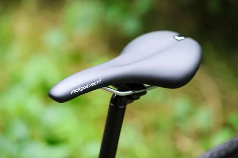 ridgeback vanteo 2018