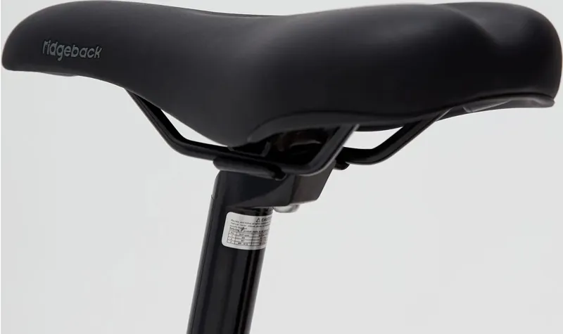 Ridgeback Destiny 24 Inch 2025 Kids Bike -  Silver-6