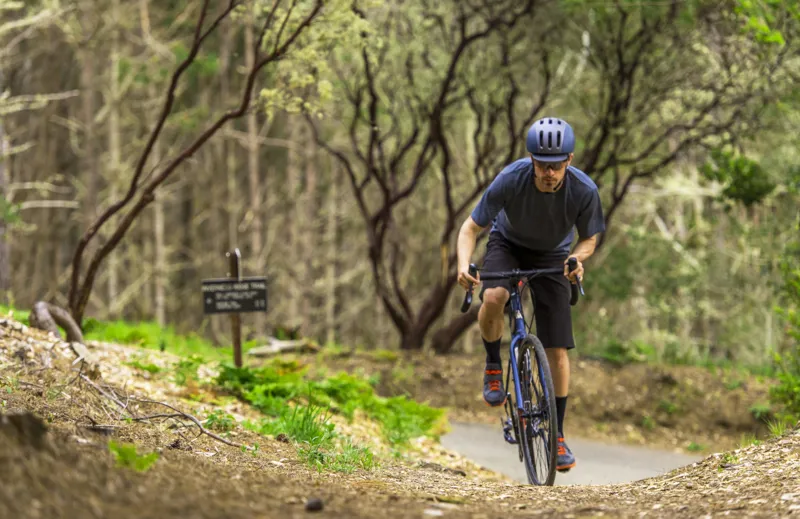 marin nicasio road bike 2019