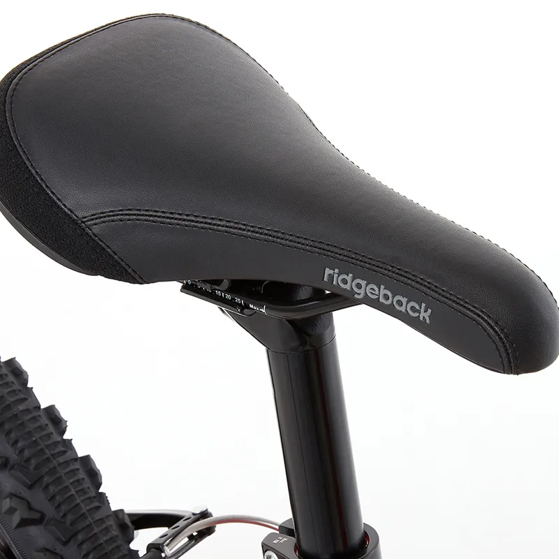 ridgeback 20 inch