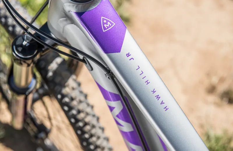 marin hawk hill junior