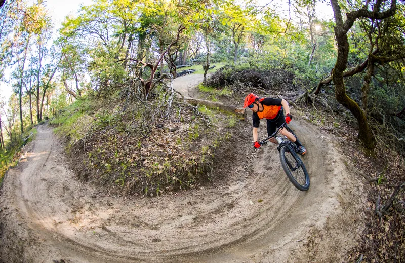 Marin Rift Zone 3 29er 2019 Full Suspension Mountain Bike - Silver-2