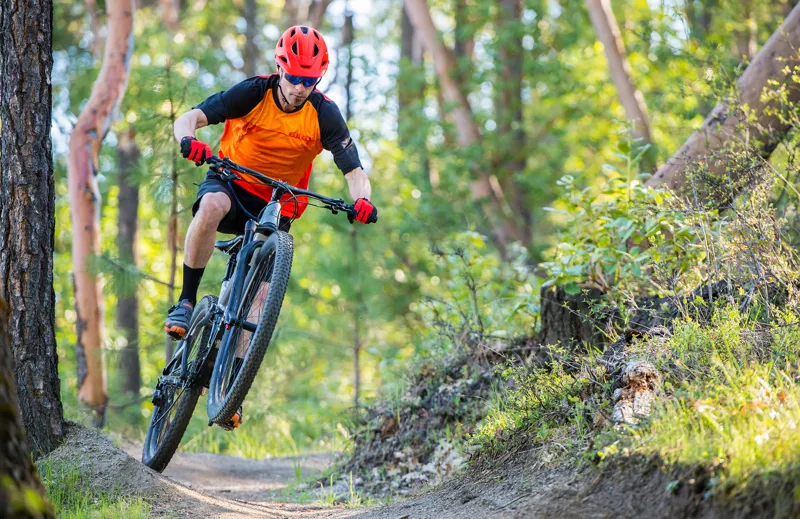 Marin Rift Zone 3 29er 2019 Full Suspension Mountain Bike - Silver-1