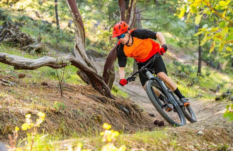 Marin Rift Zone 3 29er 2019 Full Suspension Mountain Bike - Silver-3