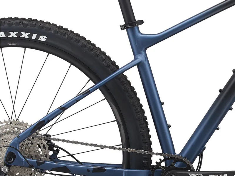 Giant Fathom 29 2 Crest Fork 2021 Hardtail MTB - Black/Blue Ashes-3