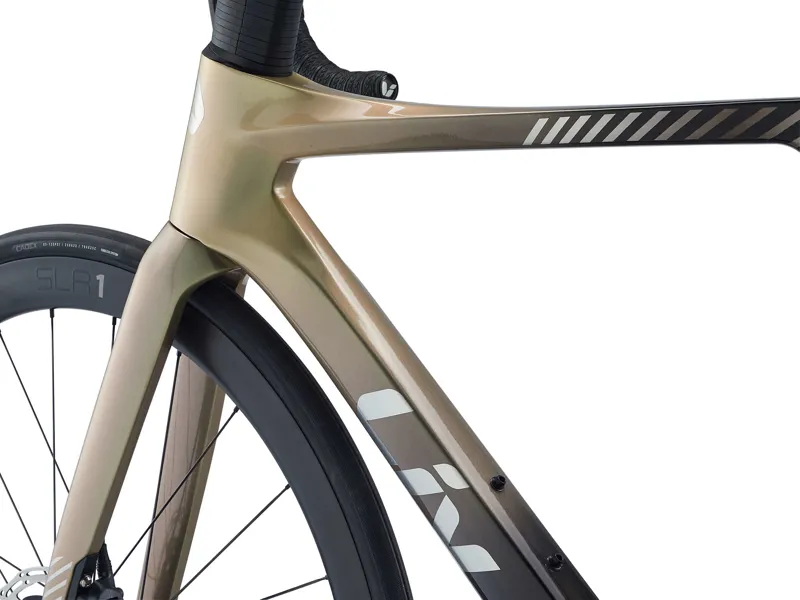 Liv Enviliv Advanced Pro Disc 0 Women's 2022 Road Bike - Dynamic Bronze-2