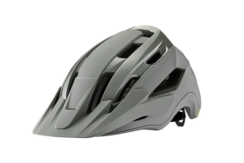 Giant Rail MIPS MTB Helmet - Matt Slate