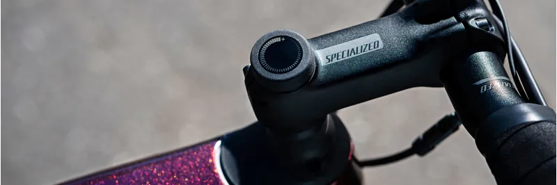 Specialized Roubaix Expert 2020 Road Bike - Berry/Grey/Black-4