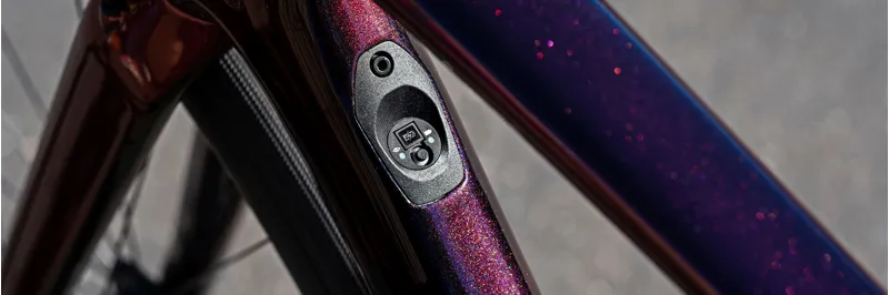 Specialized Roubaix Expert 2020 Road Bike - Berry/Grey/Black-5