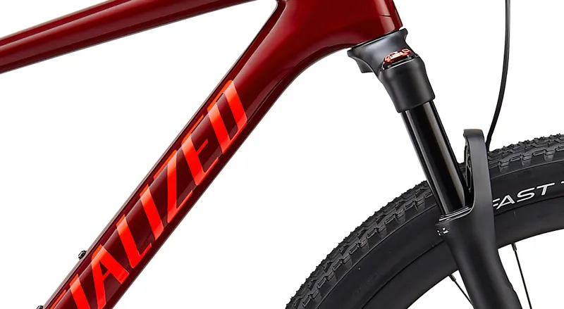 Specialized Epic Expert 29er 2020 Hardtail Mountain Bike - Crimson/Red-6