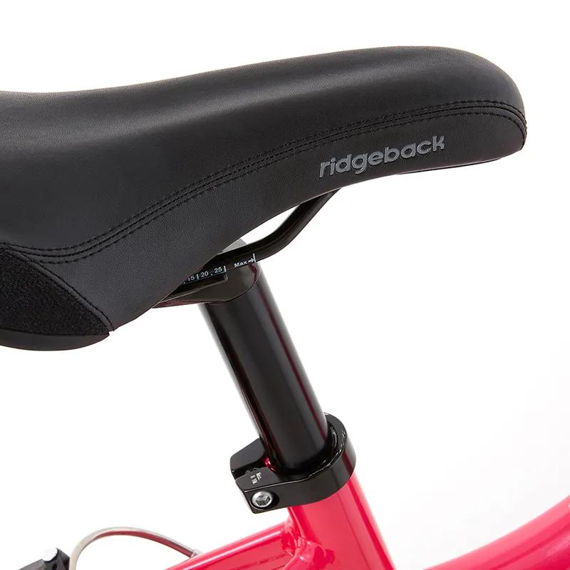 ridgeback harmony 20 review