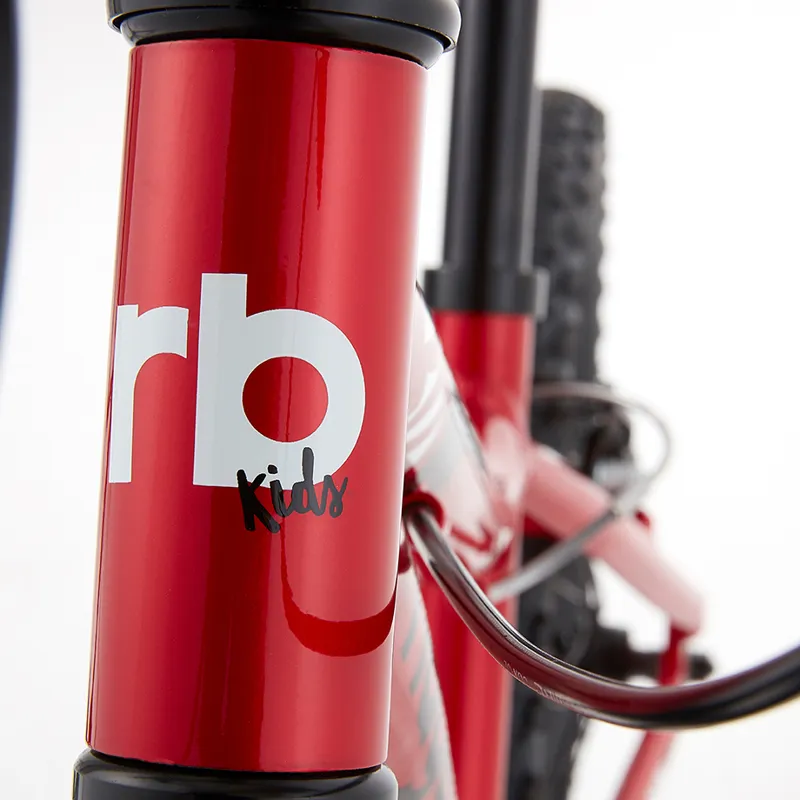 Ridgeback MX20 20 Inch 2020 Kids Bike - Red-4