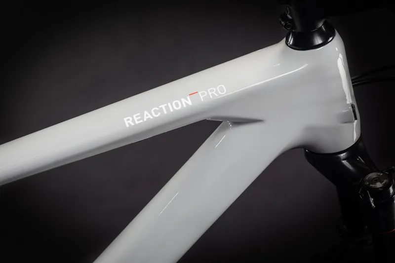 Cube Reaction C:62 Pro 29er 2021 Hardtail Mountain Bike -Grey/Blue/Red-1