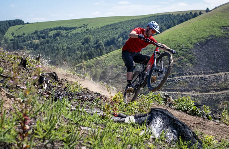 Marin Rift Zone 2 29er 2020 Full Suspension MTB - Black/Red-1