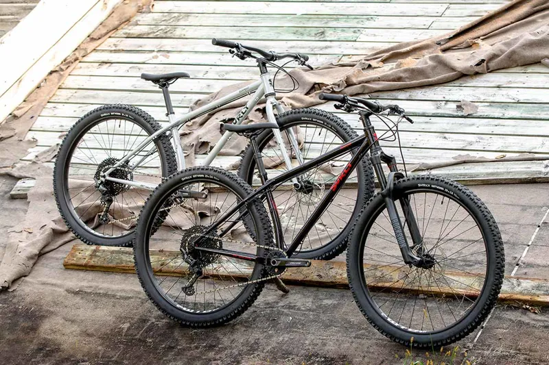 surly 29er