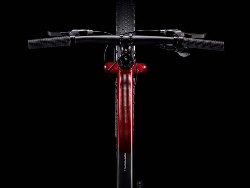 Trek Roscoe 20+w 2023 Kids Mountain BIke - Rage Red/Dnister Black Fade-4