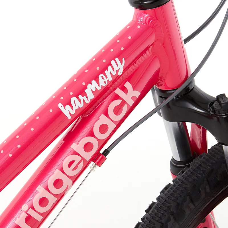 ridgeback harmony 20 review