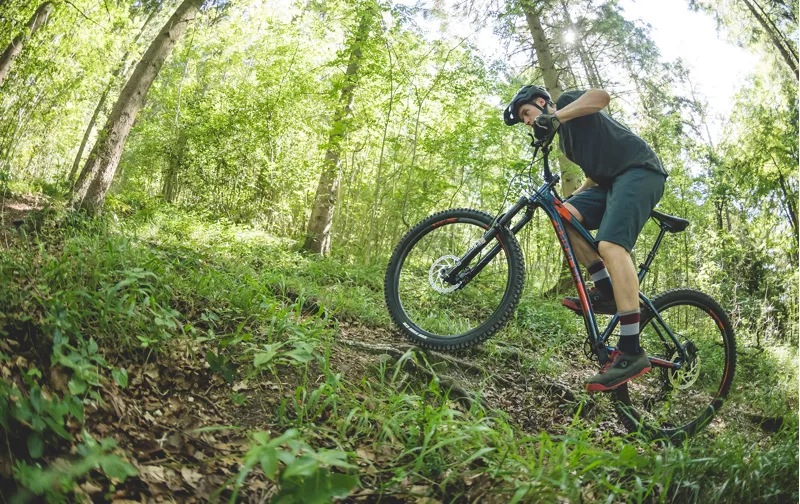 mountain bike rims tubeless ready