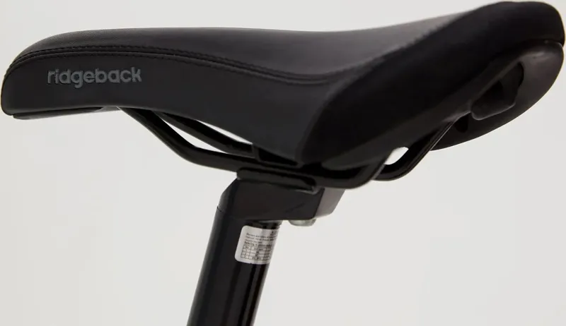 Ridgeback Harmony 20 Inch 2025 Kids Bike - Green-6