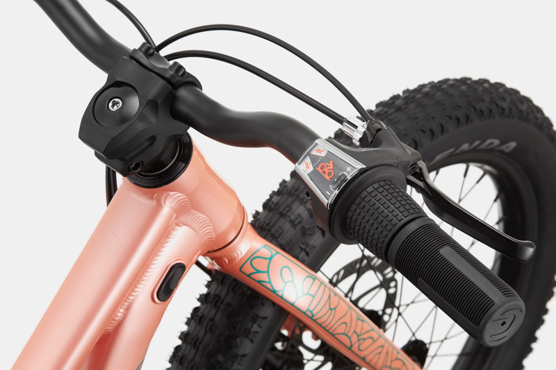 Cannondale Kids Trail Plus 20w 2024 Kids MTB Bike - Salmon-6