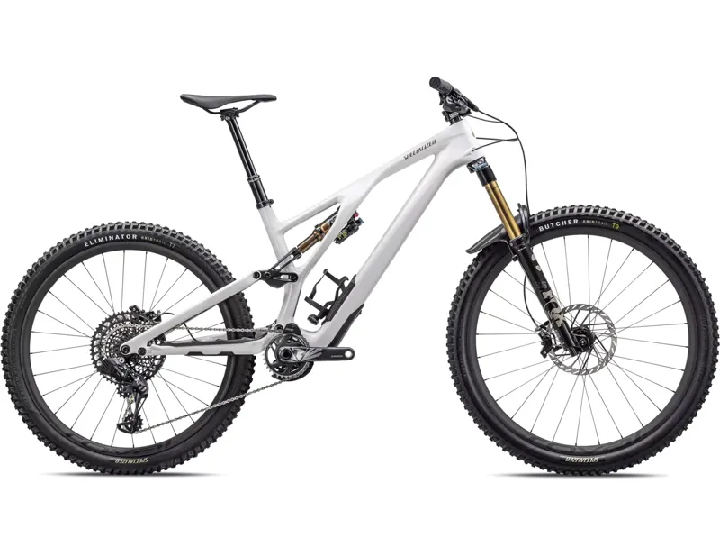 Stumpjumper evo pro 29 sales