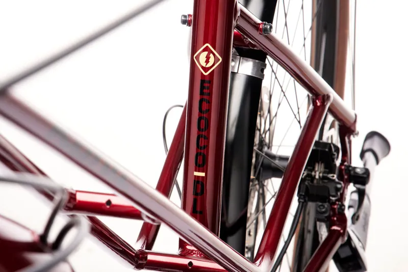 Kona Ecoco DL 2021 Womens Electric Urban Bike - Metallic Pinot Noir
