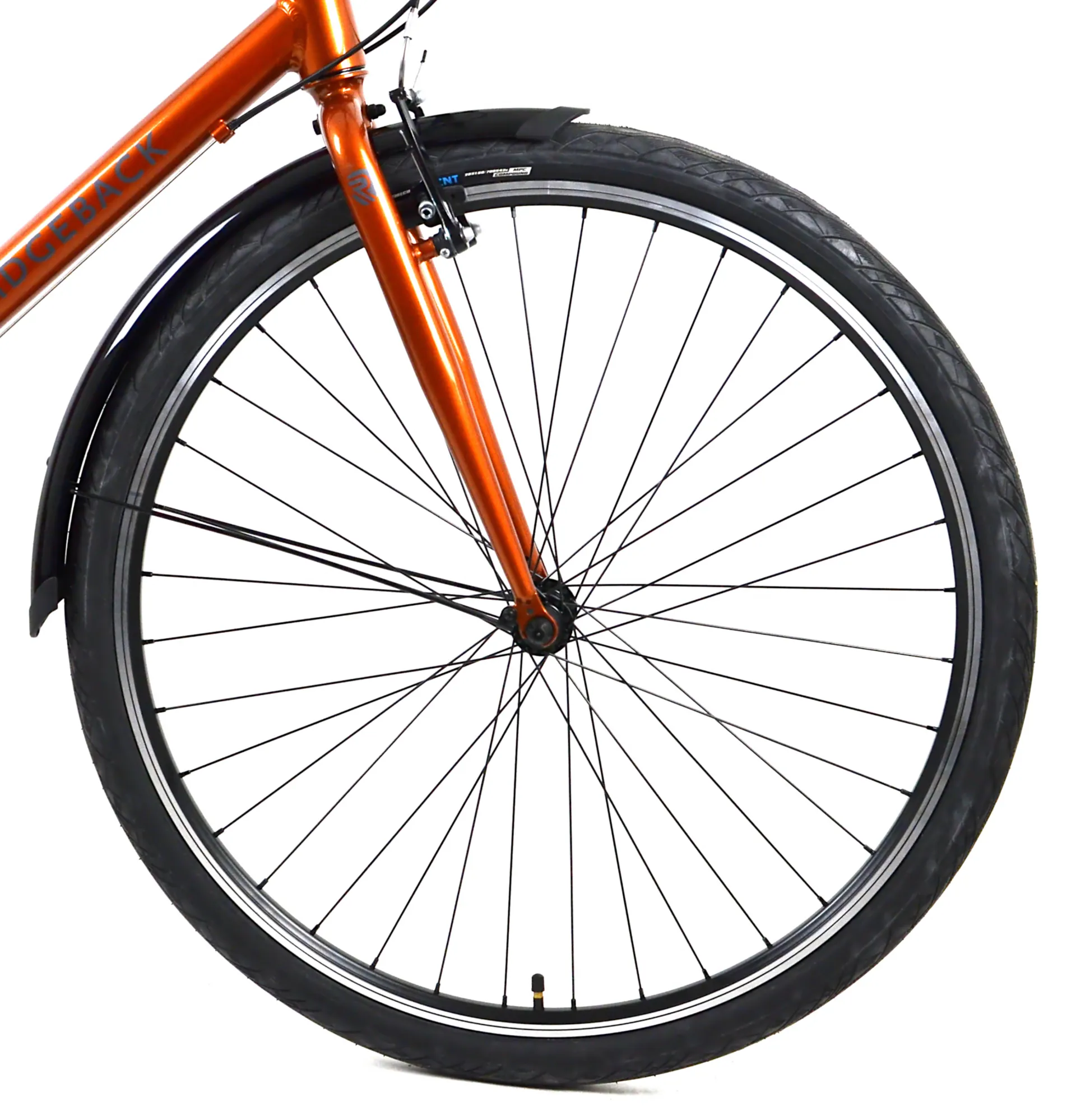 Nearly New Ridgeback Speed 2023 Hybrid Bike - XX-Large - Bronze