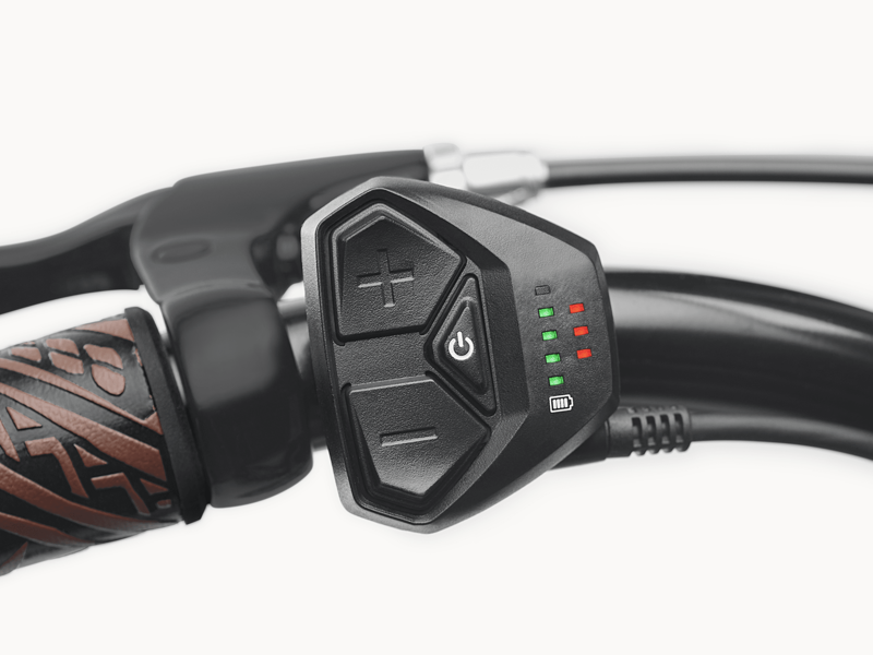 Electra Kakau Cruiser Go Step Over 2024 Electric Cruiser Bike - Ember-2