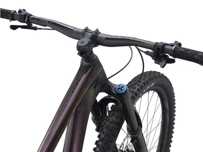 Giant Reign Advanced Pro 29 1 2021 Full Suspension MTB - Rosewood -5