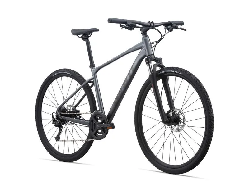 roam 2 disc 2020
