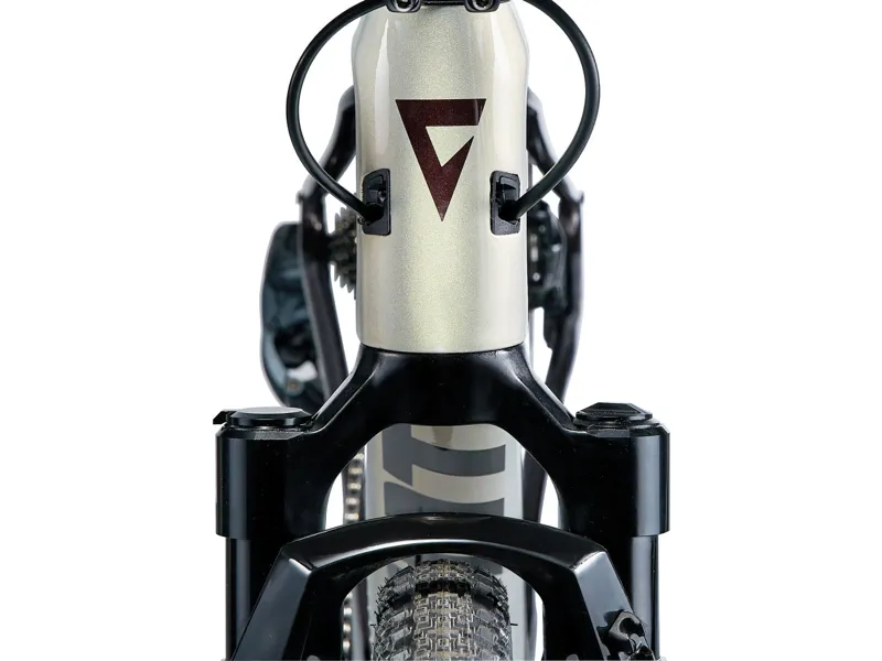 Giant Revolt X Advanced Pro 1 2024 Carbon Gravel Road Bike - Golden Haze-5