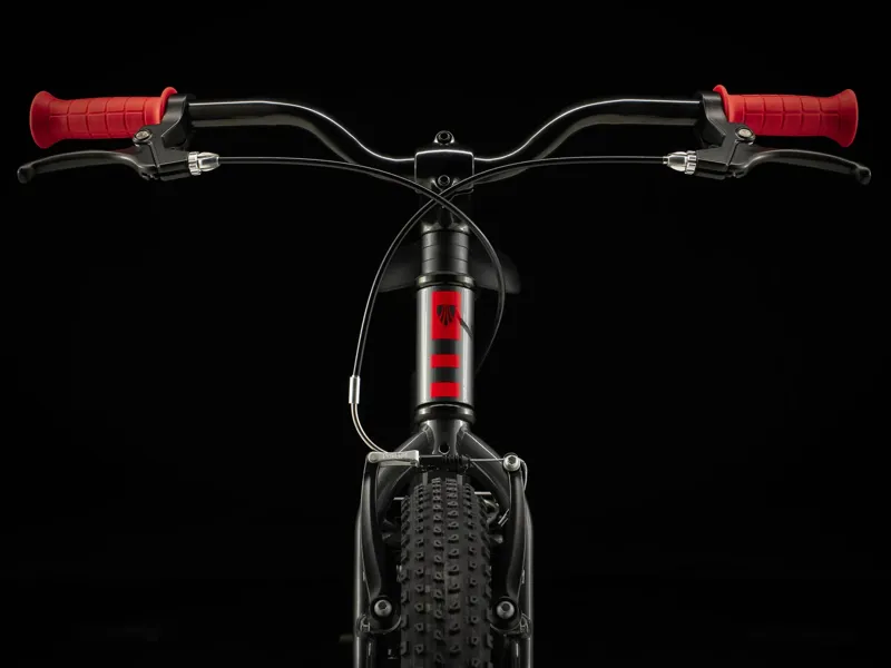 Trek Precaliber 20 Freewheel 2025 Kids Bike - Lithium Grey-4