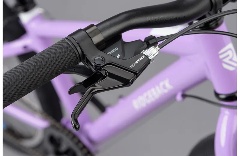 Ridgeback Dimension 24w 2021 Kids Bike - Lilac-4