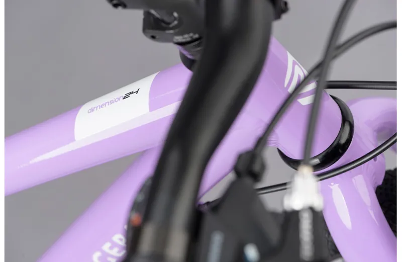 Ridgeback Dimension 24w 2021 Kids Bike - Lilac-3