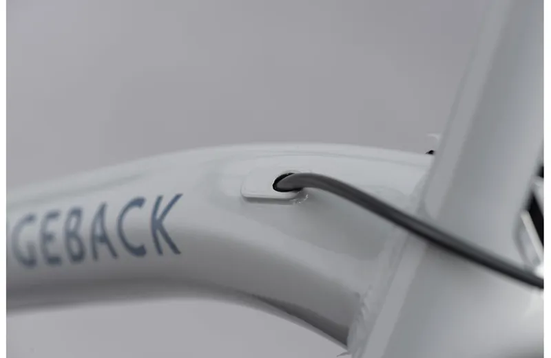 Ridgeback Element EQ 2025 Hybrid Bike - Silver -5