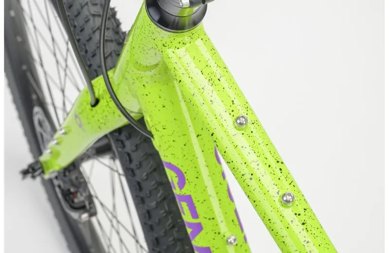 Genesis Fugio 20 2024 Gravel Road Bike - Green-8