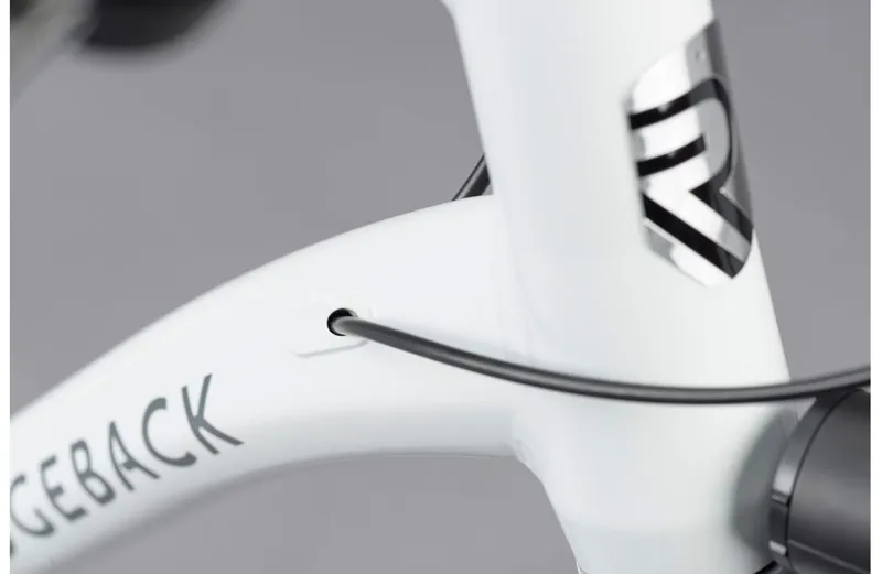 ridgeback supernova 2015