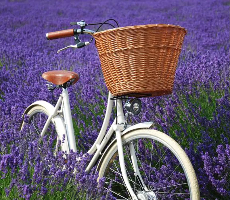 Pashley Front Wicker Basket and Universal Support - Large-1