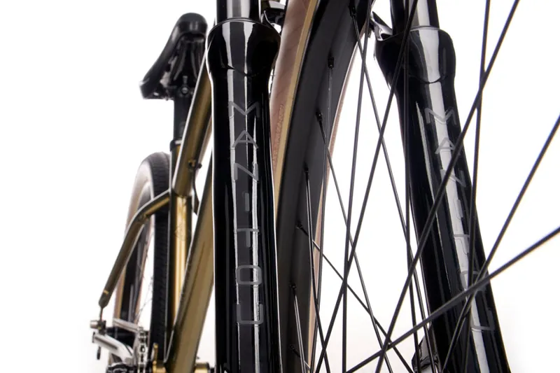 Kona Shonky ST 2021 Jump Mountain Bike - Gloss Champagne-5