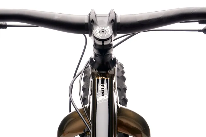 Kona Wo 26w 2021 Fat Bike - Gloss Metallic Champagne-9