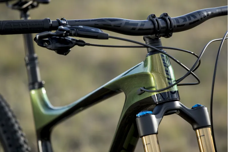 Giant Reign Advanced Pro 29 0 2020 Full Sus MTB Bike - Chameleon-3