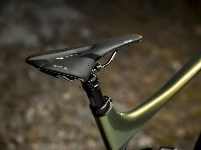 Giant Reign Advanced Pro 29 0 2020 Full Sus MTB Bike - Chameleon-9