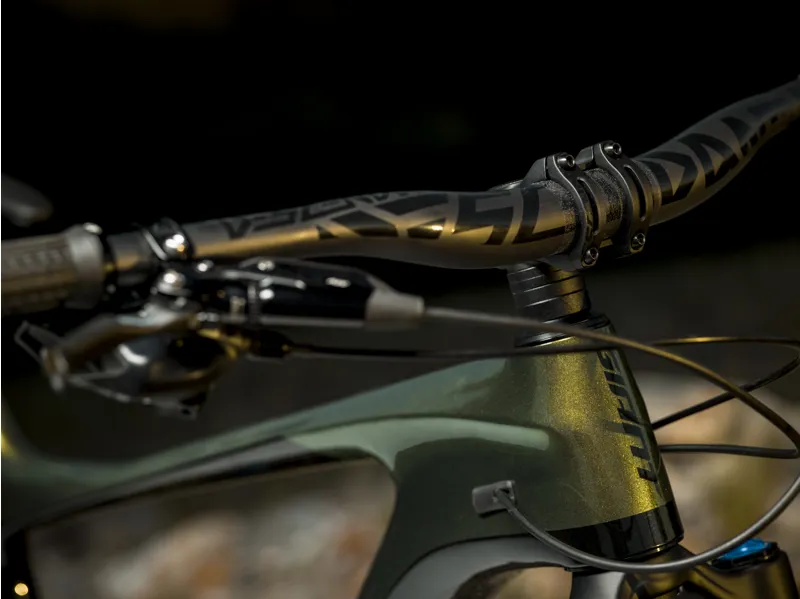 Giant Reign Advanced Pro 29 0 2020 Full Sus MTB Bike - Chameleon-10