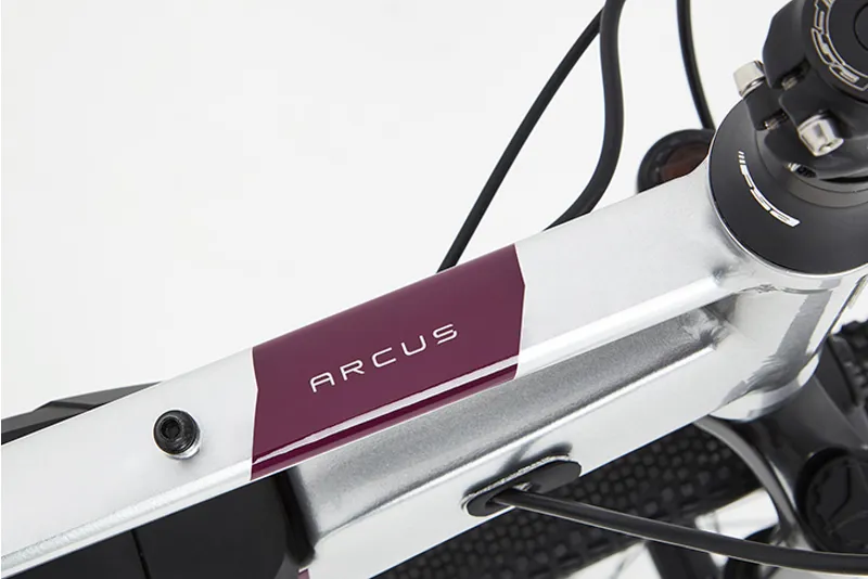 Ridgeback Arcus 1 Open Frame 2025 Electric Urban Bike - Silver-8