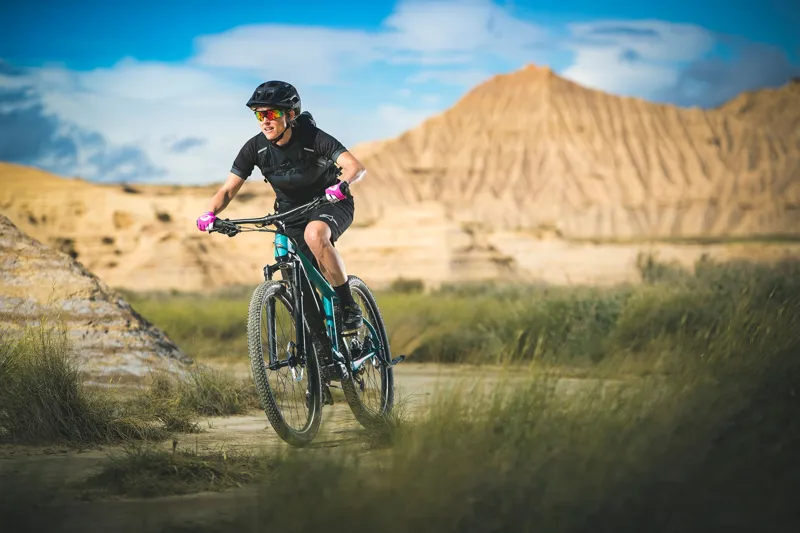 Merida eBig Nine 400 29er 2020 Electric MTB - Blue/Black-8