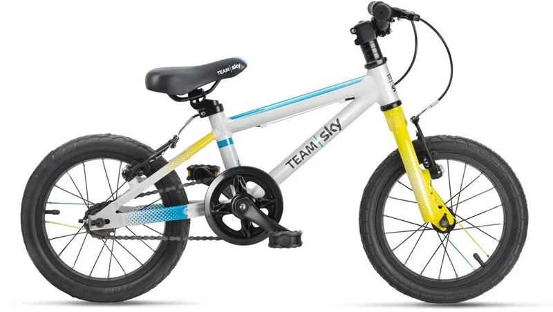 Frog 43 14w 2019 Kids Bike Team Sky