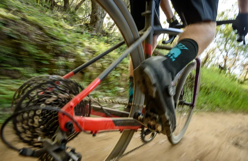 marin gestalt x10 gravel bike