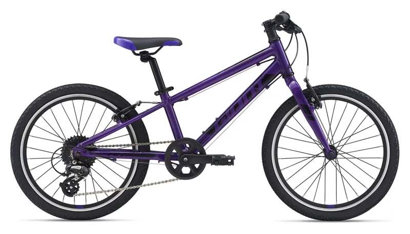 arx 24 giant